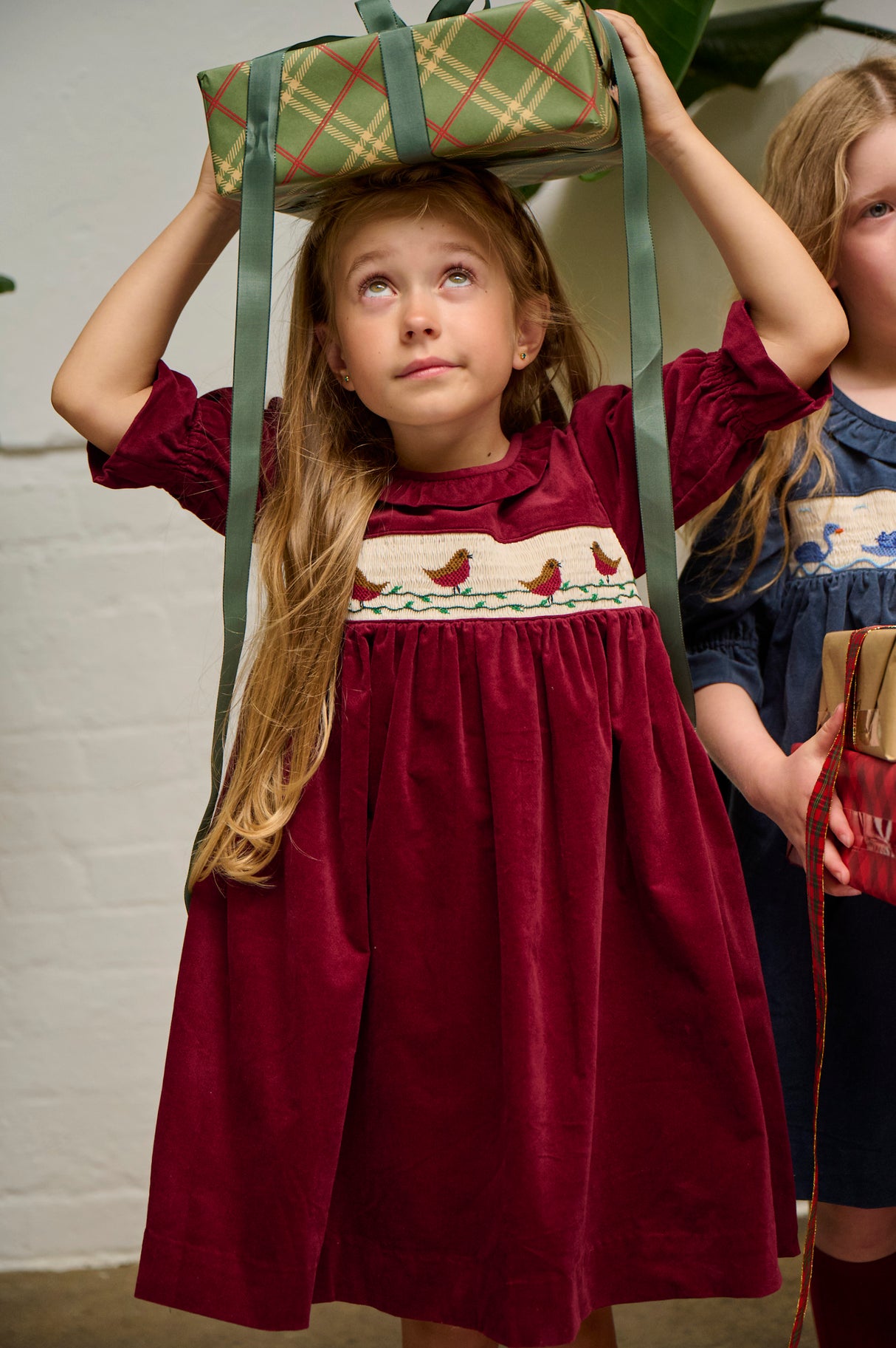 Robin Velvet Dress