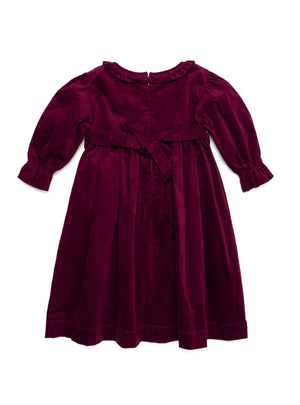 Robin Velvet Dress