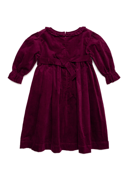 Robin Velvet Dress