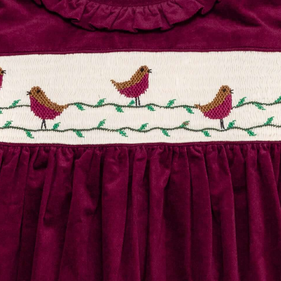 Robin Velvet Dress