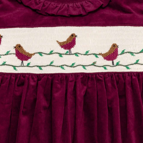 Robin Velvet Dress