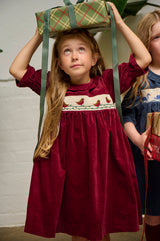 Robin Velvet Dress